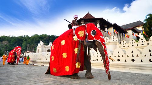 Pacote de Viagem à Índia e Sri Lanka