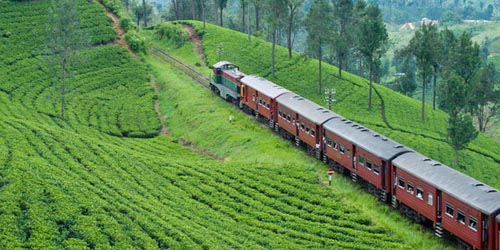 Excursão de trem pelo sul da Índia
